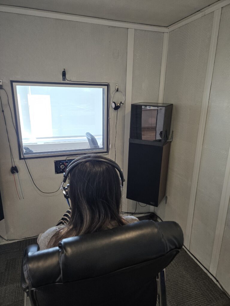 Audiologist discussing causes of hearing loss in adults with a patient